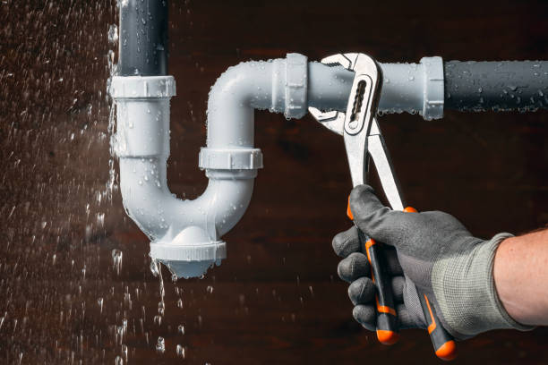 Professional Drain Cleaning technician working in Haines City, FL